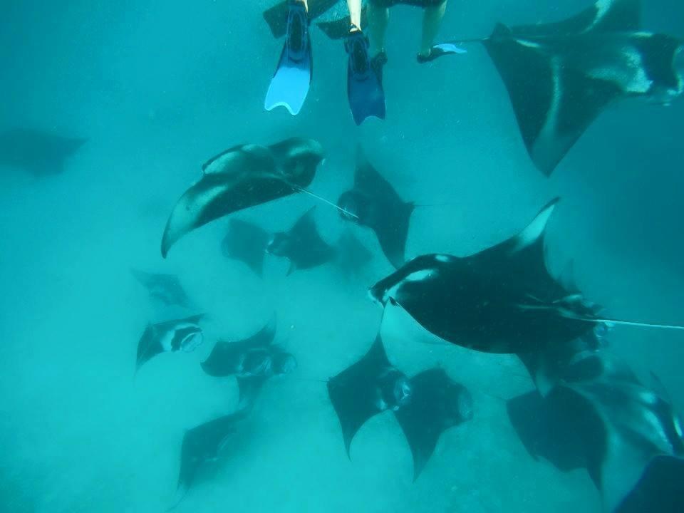 Summer Shade Maldives 다라반두 외부 사진